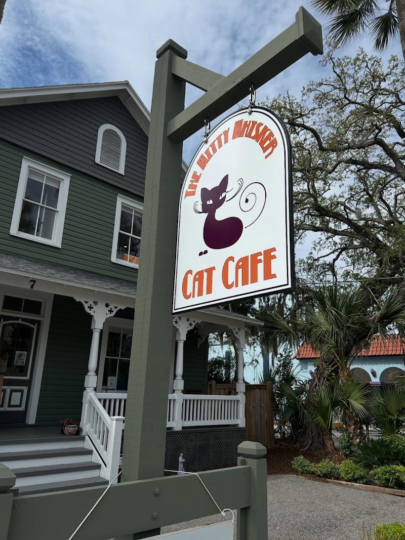 The Witty Whisker Cat Cafe photo 3