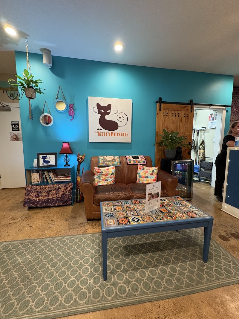 The Witty Whisker Cat Cafe photo 4