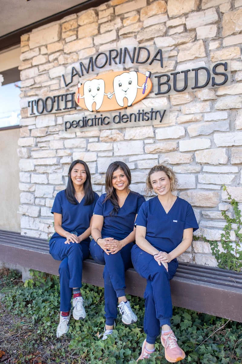 Lamorinda Tooth Buds photo 3
