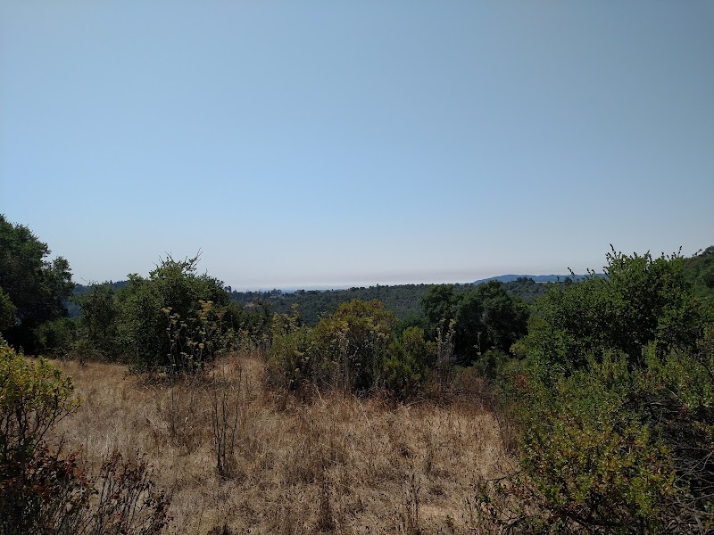 Fox Pond Overlook photo 5
