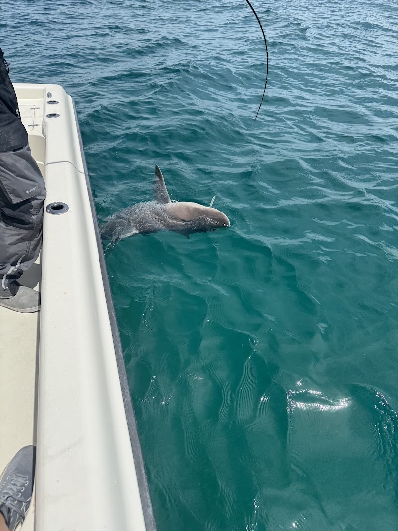 The Reel Fisher. Fishing Charters, Clearwater Florida photo 4