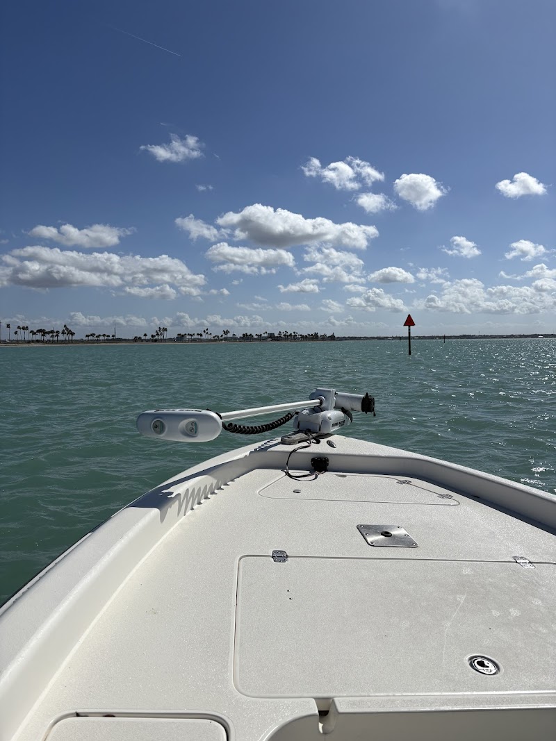 The Reel Fisher. Fishing Charters, Clearwater Florida photo 2