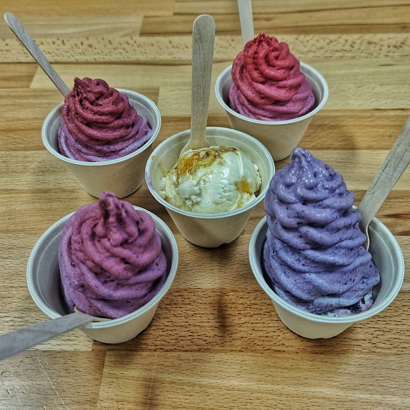 Welly's Real Fruit Ice Cream photo 3