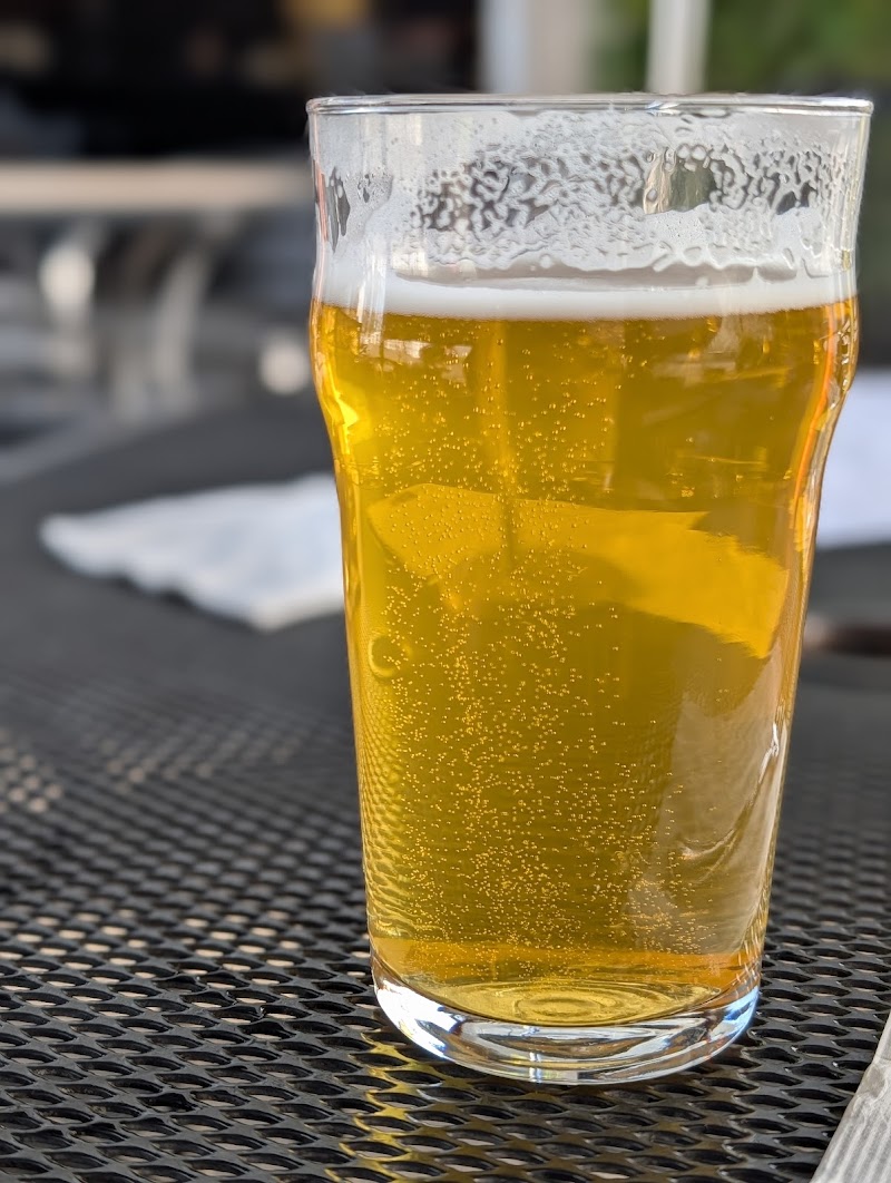 Barley & Bine Beer Cafe photo 3