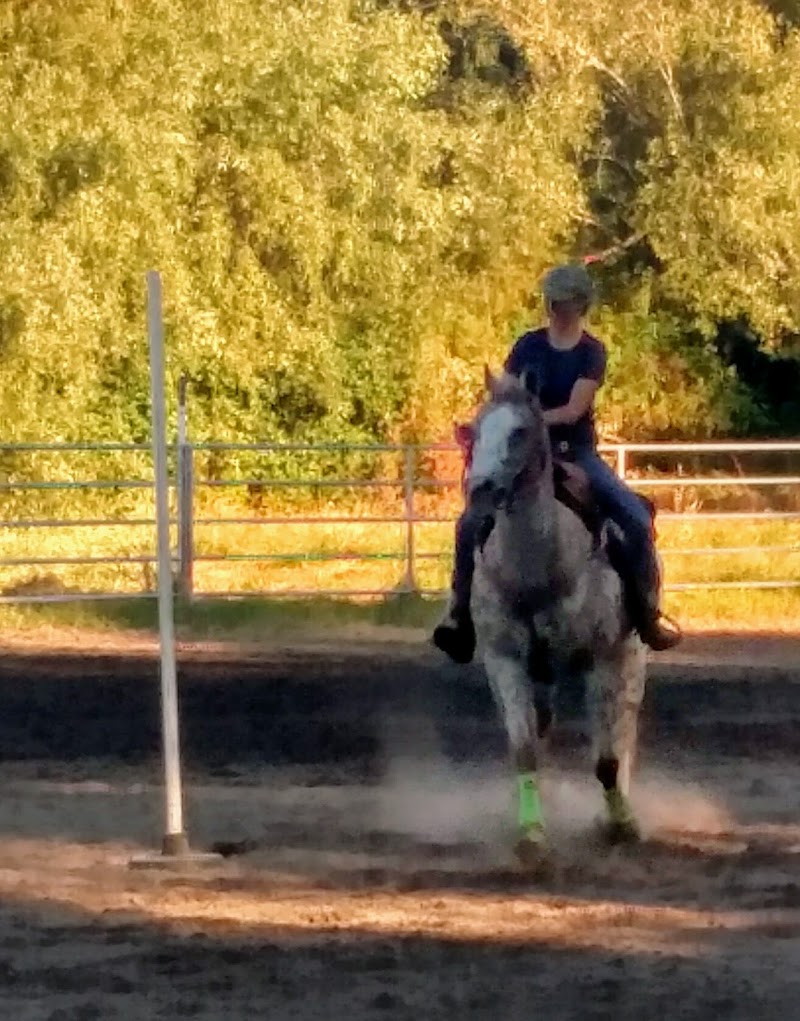 Photo of Sebastopol Wrangler's Arena
