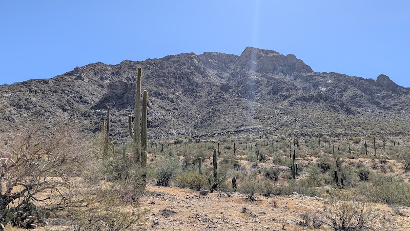 Photo of Newman Peak CAP Trailhead