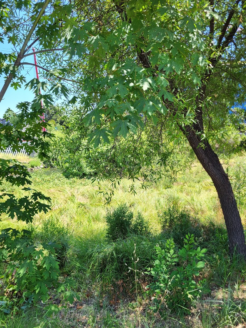 Photo of Hobo Flats Indian Mounds