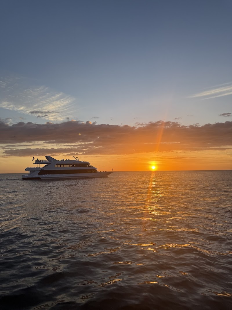 Clearwater Tiki Boat Tours photo 2