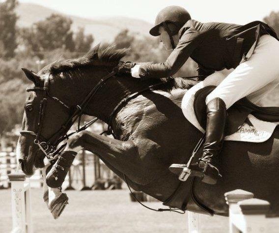 Photo of Bristol Show Stable