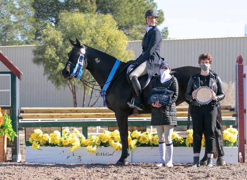 Bristol Show Stable photo 3