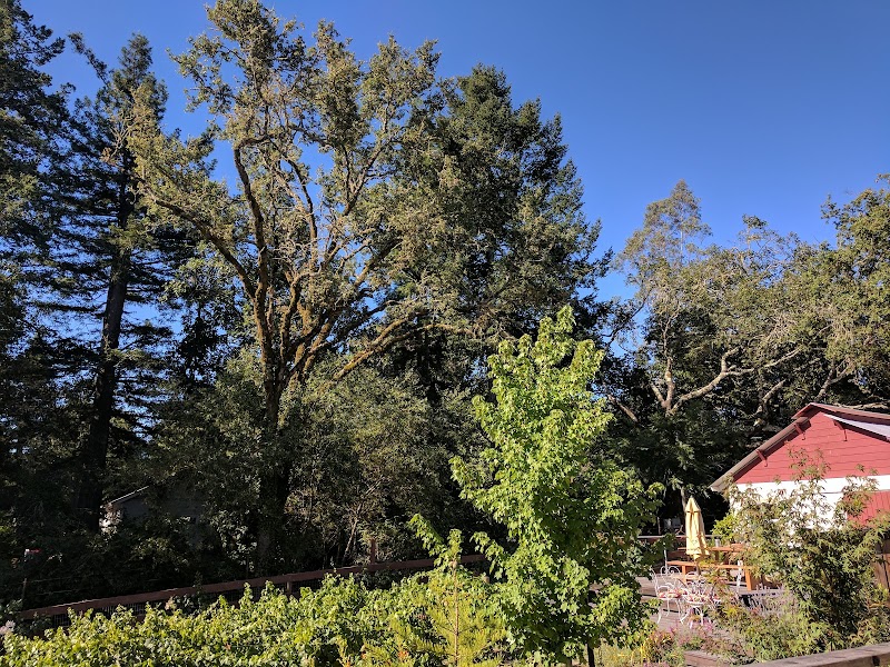 Photo of Grace Ranch