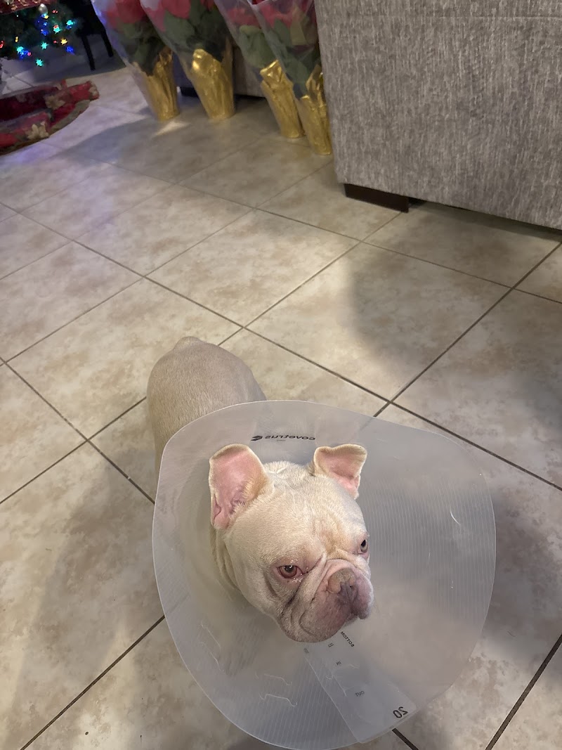Kingdom Pet Hospital & House Calls photo 3