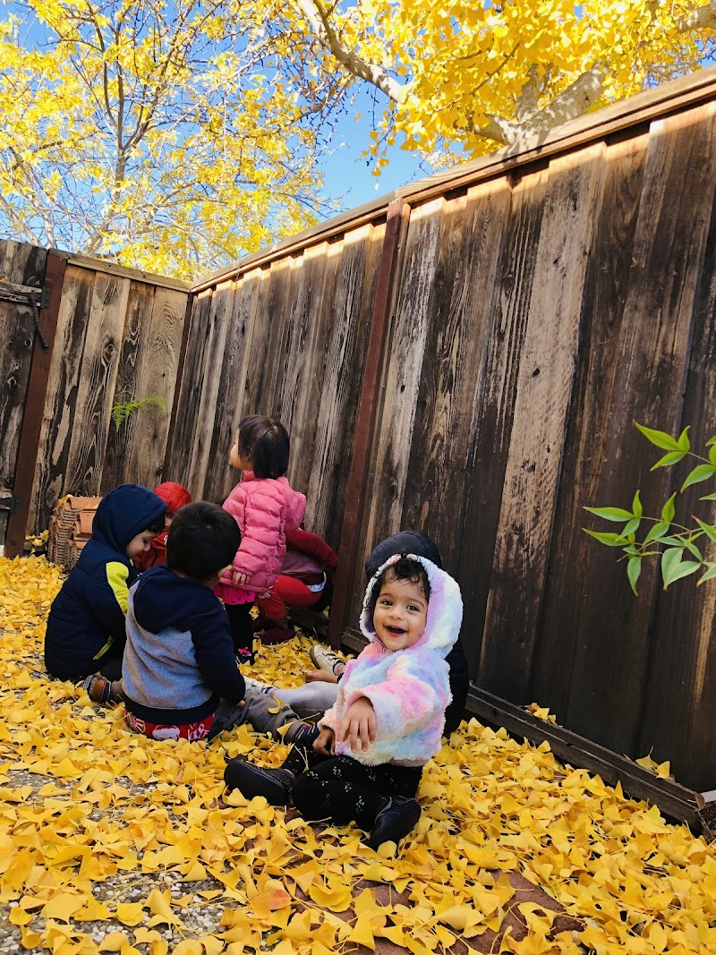 Early Bird Daycare photo 3