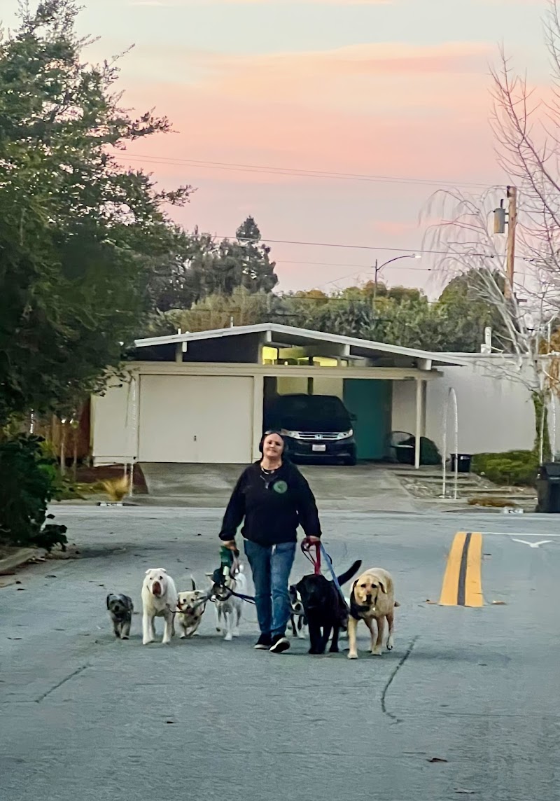 Photo of Fun 4 Paws