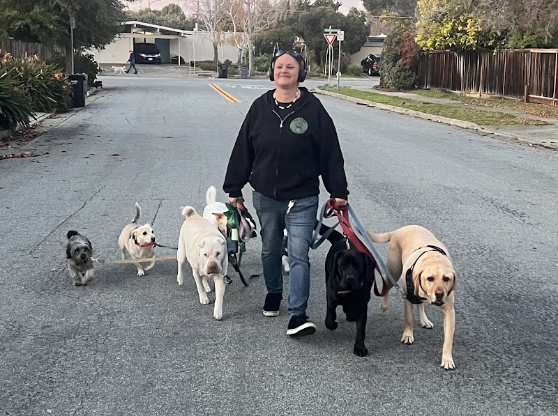 Fun 4 Paws photo 4