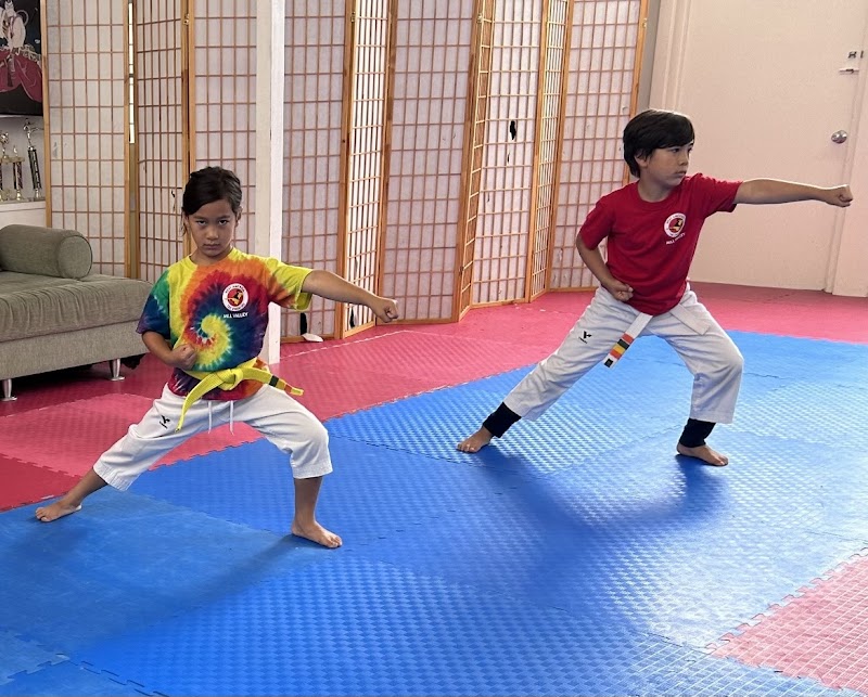 West America Tae Kwon Do photo 2