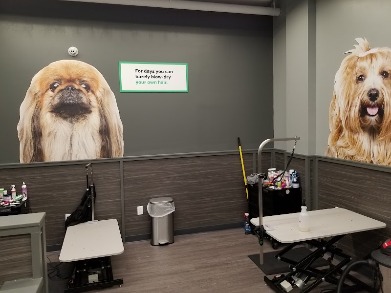 Pet Supplies Plus Spring Hill photo 2