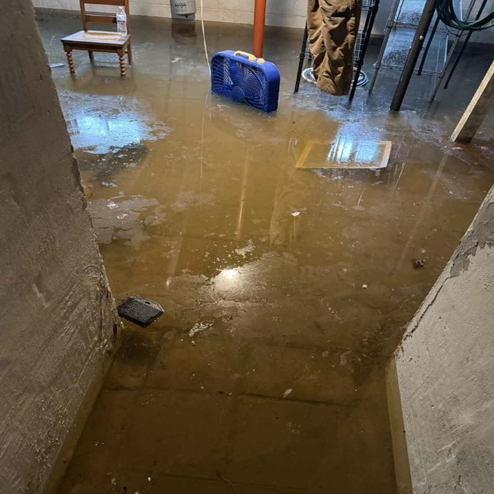 Davids Water Restorations Apollo Beach photo 5
