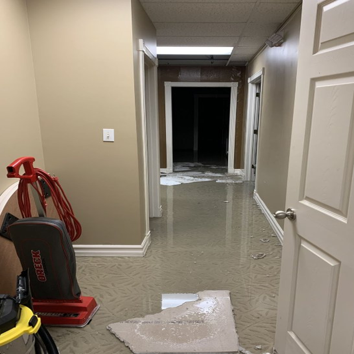 Davids Water Restorations Apollo Beach photo 3