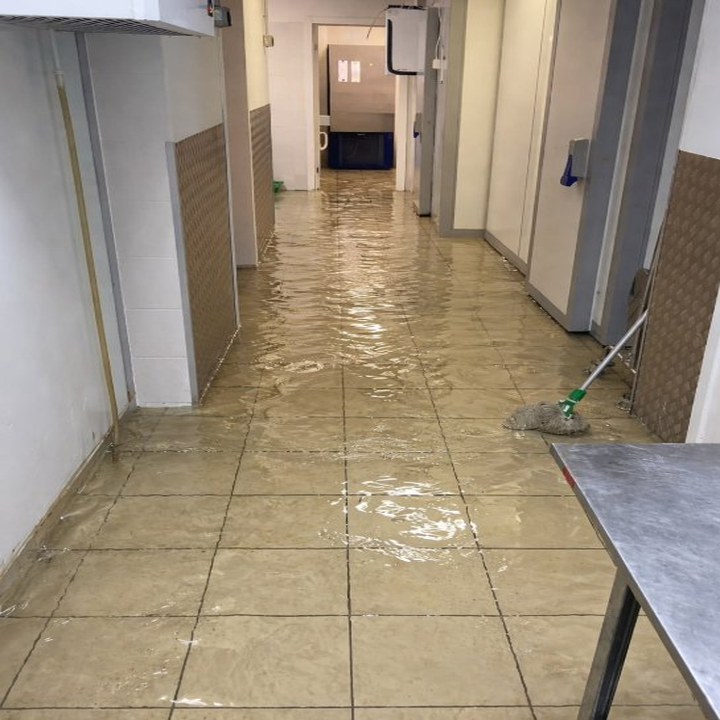 Davids Water Restorations Apollo Beach photo 2