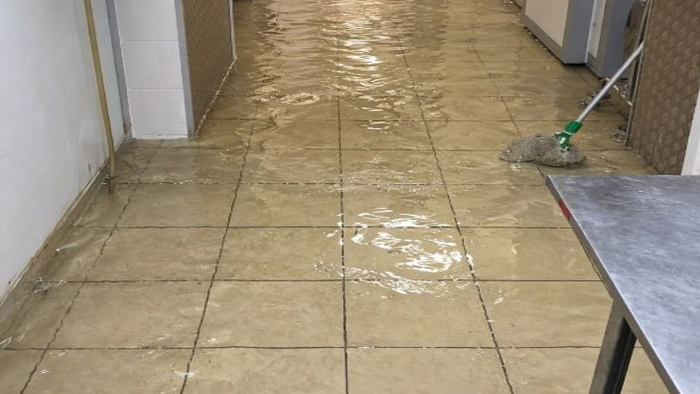 Photo of Davids Water Restorations Apollo Beach