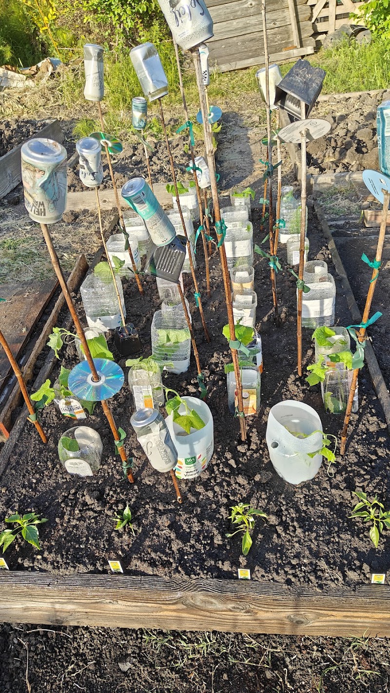 Photo of University Village Community Garden