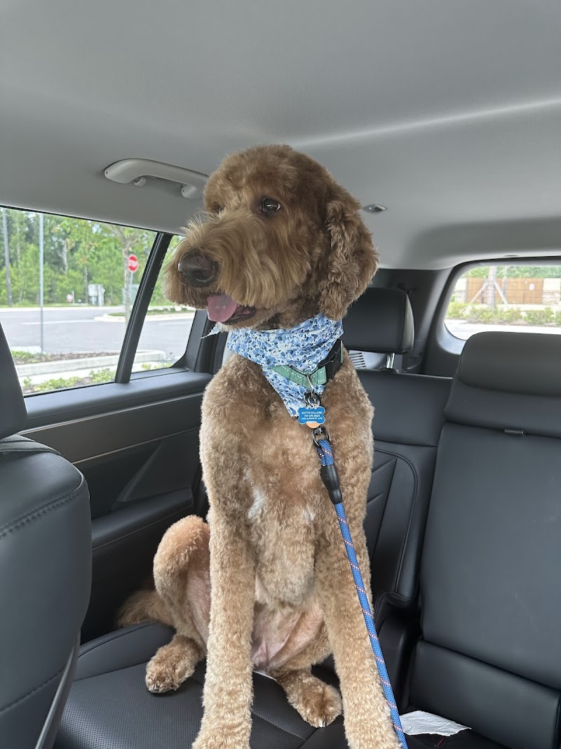 Woof Gang Bakery & Grooming Bexley photo 4