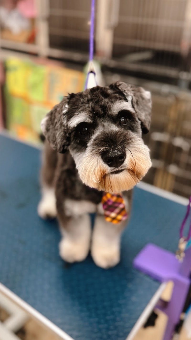 Woof Gang Bakery & Grooming Bexley