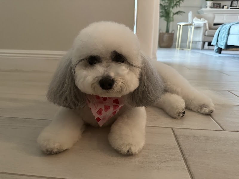 Woof Gang Bakery & Grooming Bexley photo 2