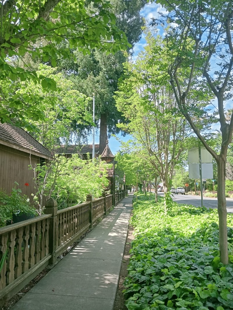 Calistoga Parks & Recreation photo 3