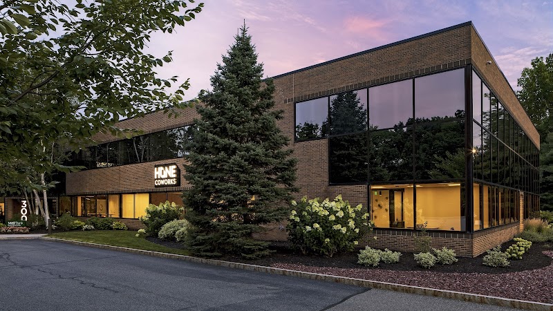 Hone Coworks - Great Oaks photo 4
