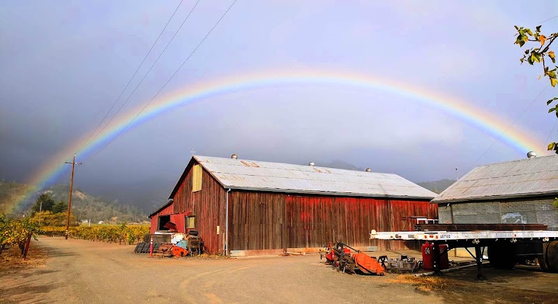 Frediani Vineyards photo 3