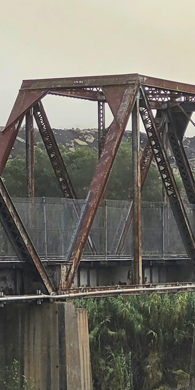 Healdsburg Memorial Bridge photo 4