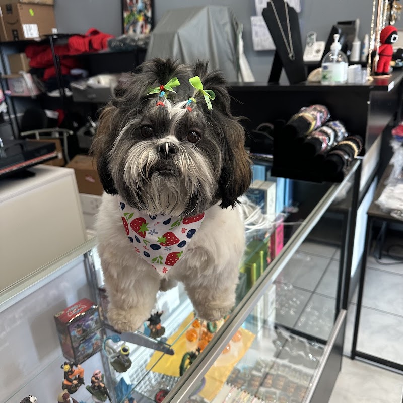 Le Pooch Grooming & Boutique photo 4