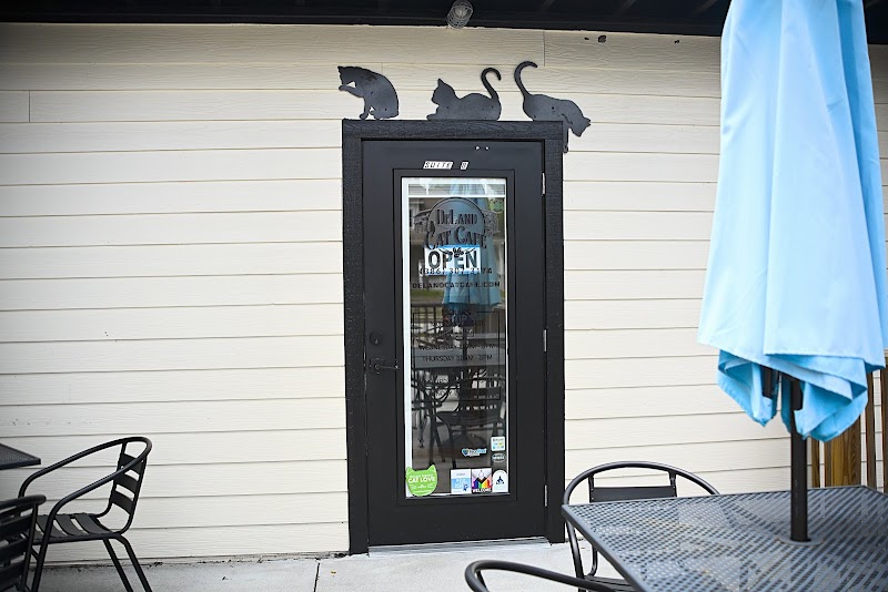 Photo of DeLand Cat Cafe