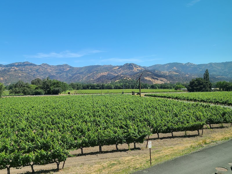 Joseph Cellars Winery photo 4