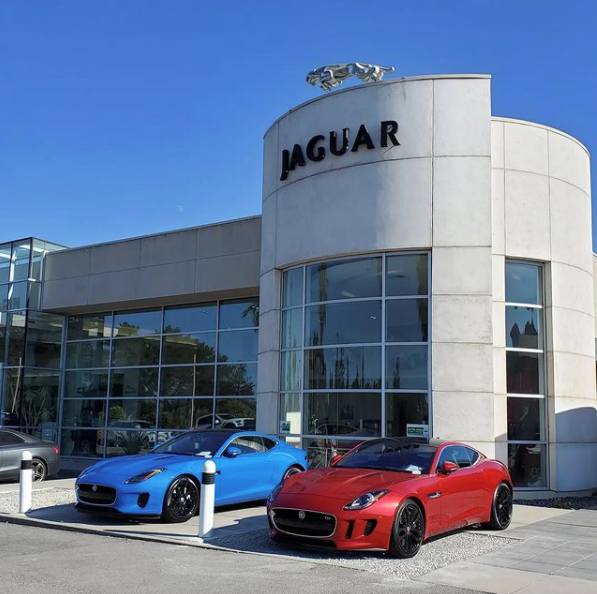 Jaguar Marin photo 4