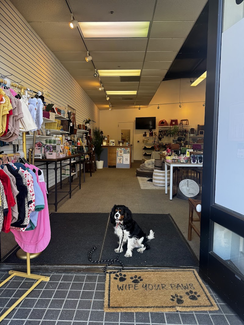 PAWSITIVELY BAY AREA photo 2