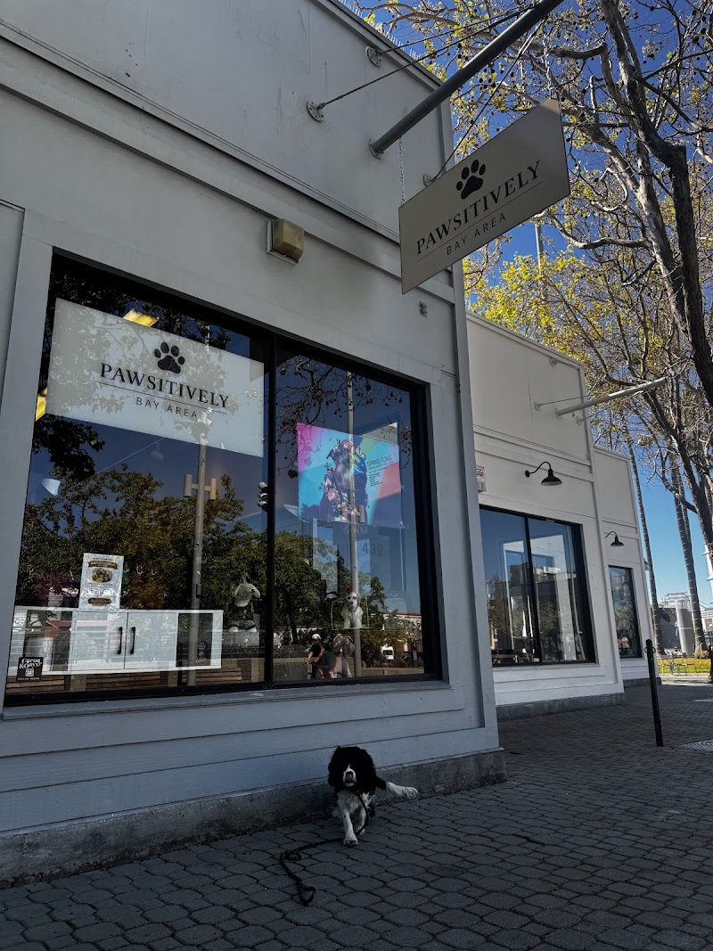 Photo of PAWSITIVELY BAY AREA