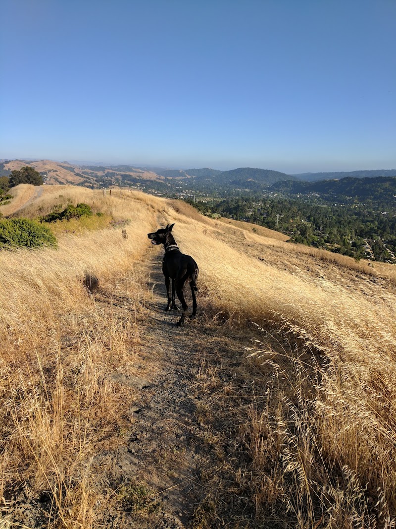 Orinda Oaks Park photo 2