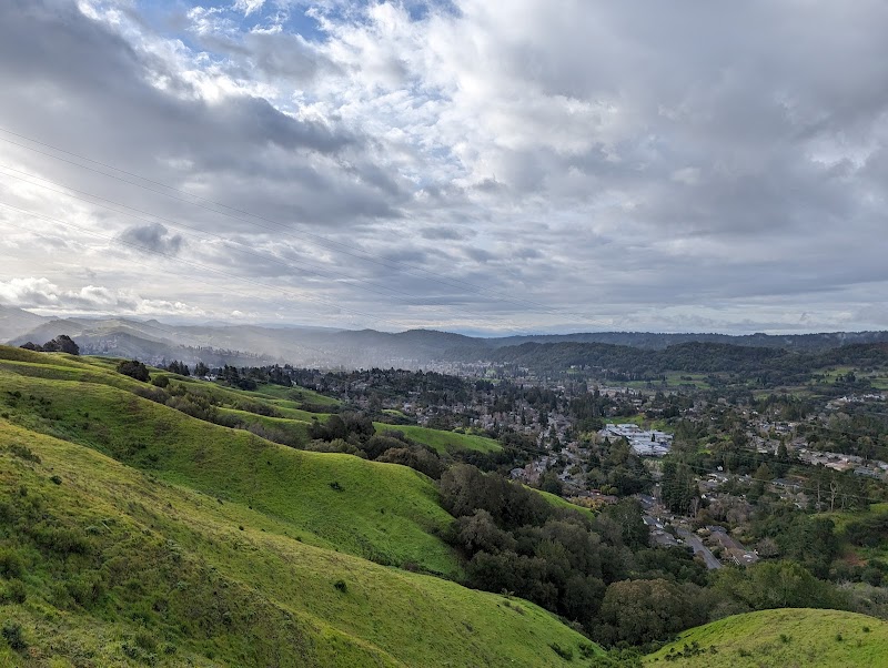 Orinda Oaks Park photo 3