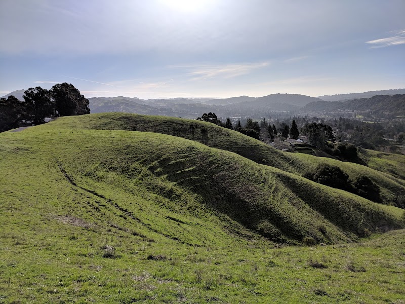 Photo of Orinda Oaks Park