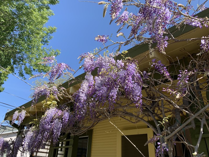 aRt Cottage photo 3