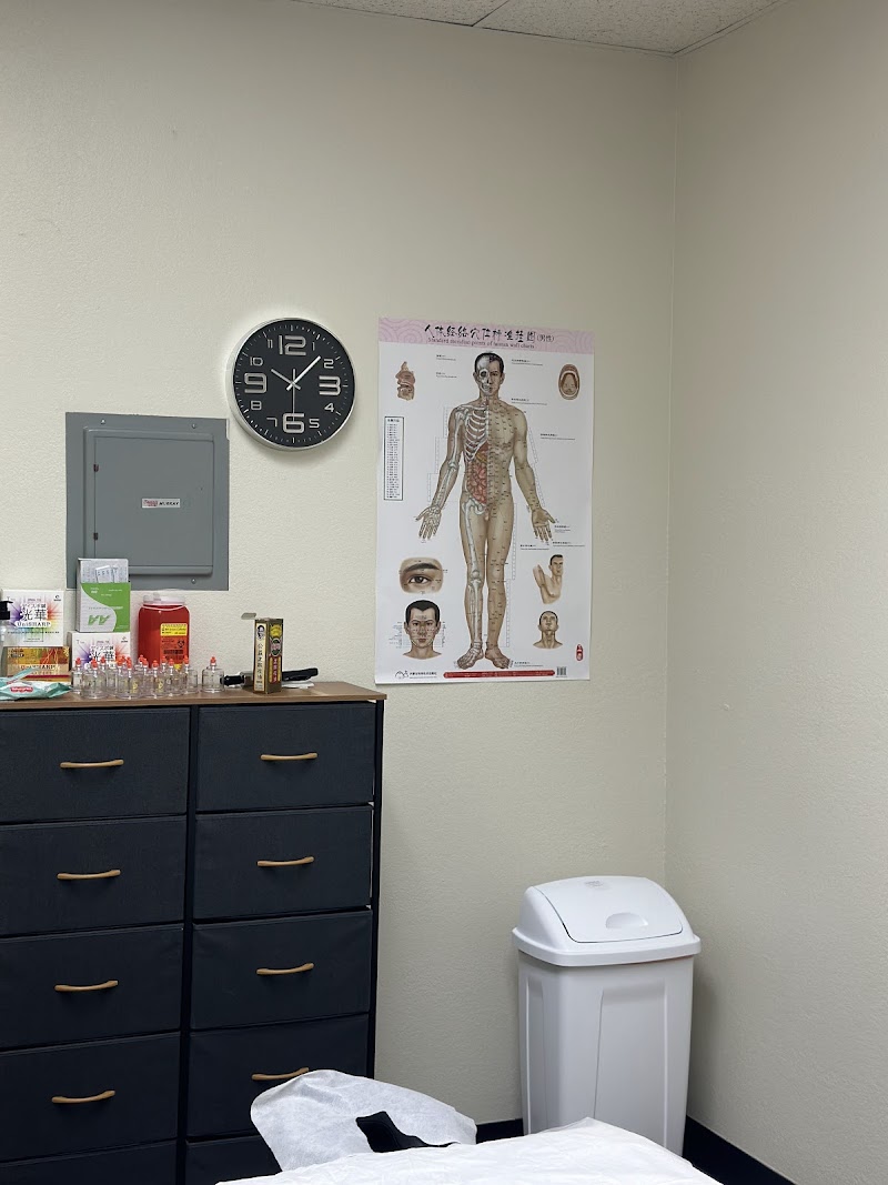 Quality Health Acupuncture photo 4
