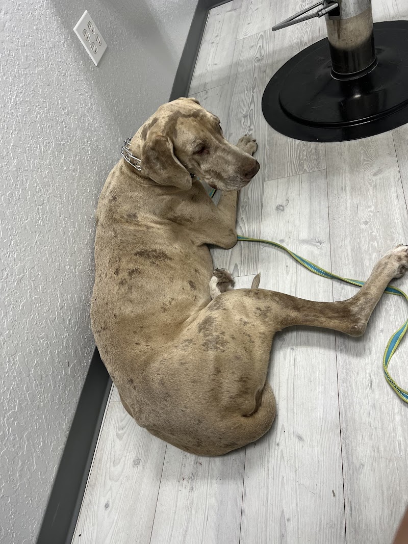 Apex Veterinary Hospital photo 3