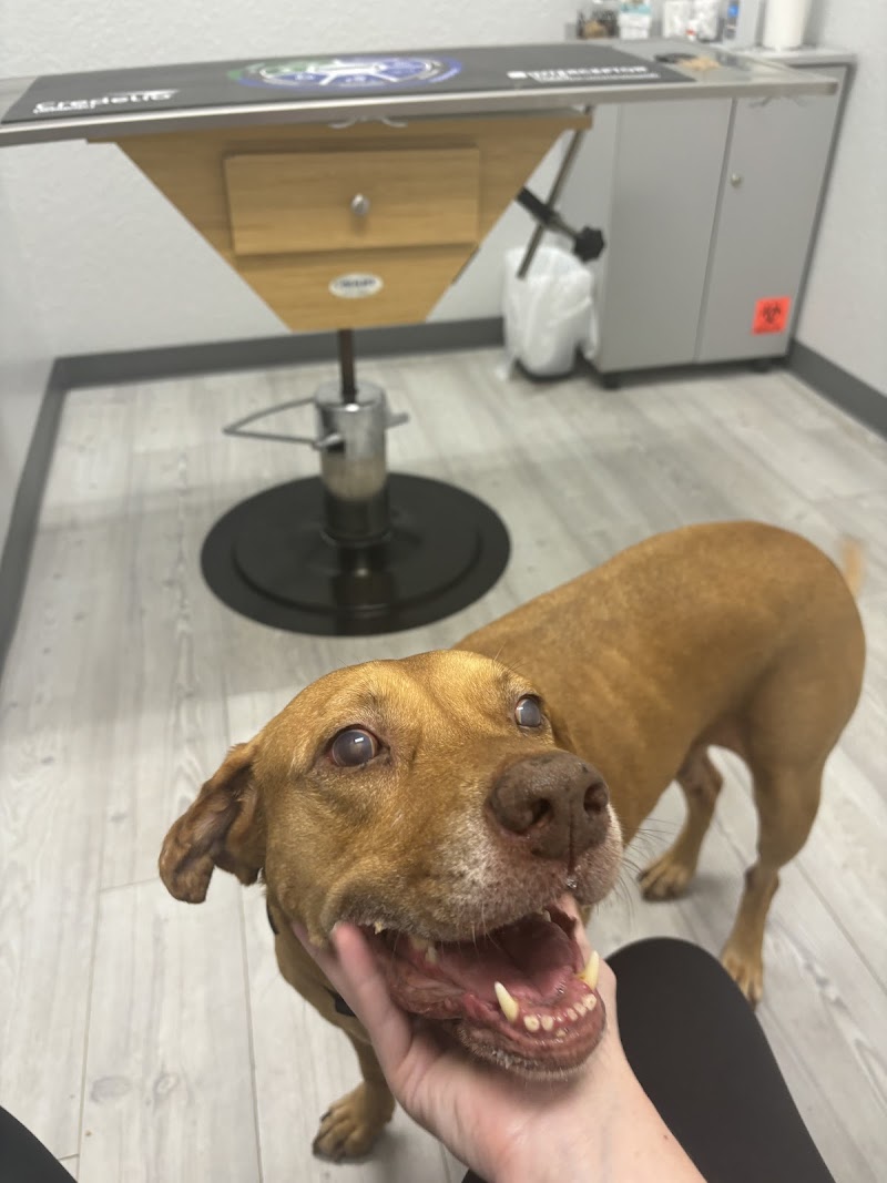 Photo of Apex Veterinary Hospital