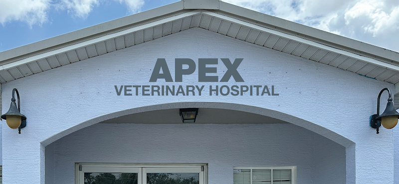 Apex Veterinary Hospital photo 2