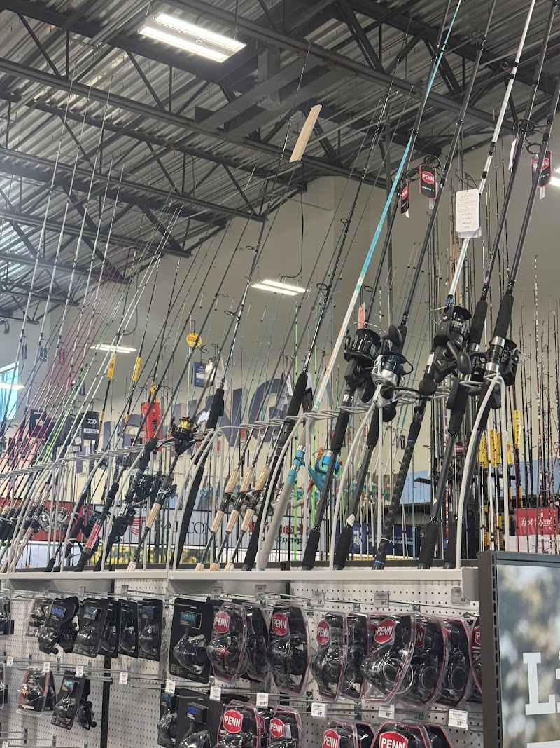 Academy Sports + Outdoors photo 4