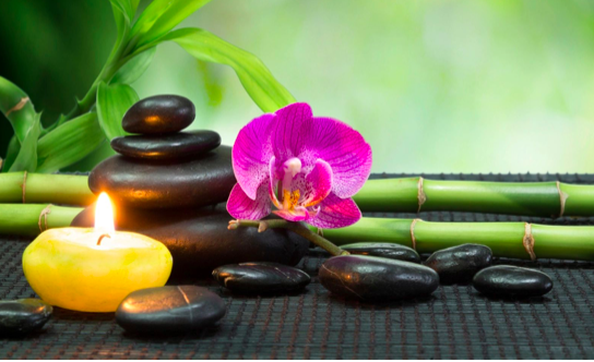 Photo of Chidragon Acupuncture - Pamela Jankelow