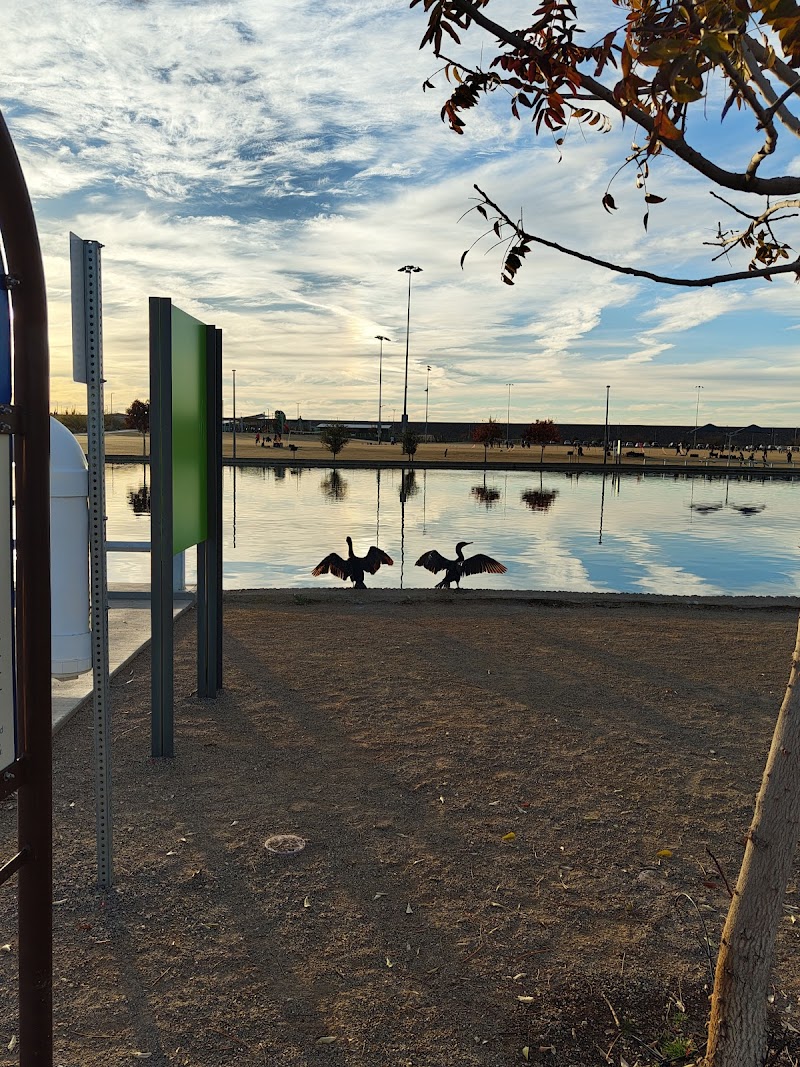 Paloma Community Park Fishing Lake photo 2